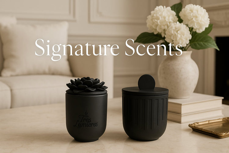 Top Shelf Scents