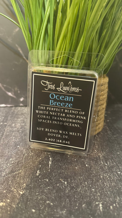 Ocean Breeze Wax Melts