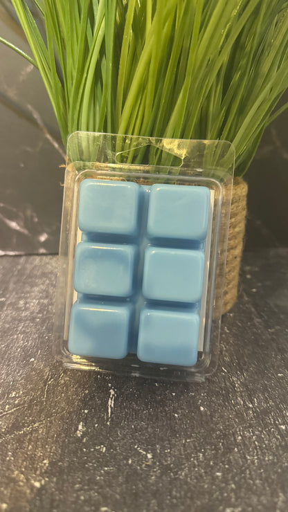 Ocean Breeze Wax Melts