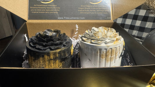 Gift Box Collection